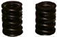 DeSoto Valve Springs